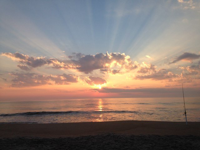 grammyyammy's profile picture. 