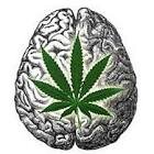 stay high, elevate your mind, be kind, and unwind