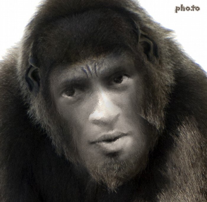 Ave217's profile picture. Music ninja / Beer nerd / Freelance food fan / Technology Geek / Avid Gamer / Comic book addict