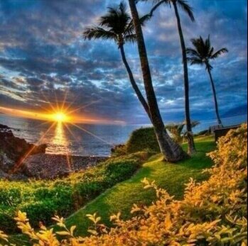 fahadaltayar's profile picture. 