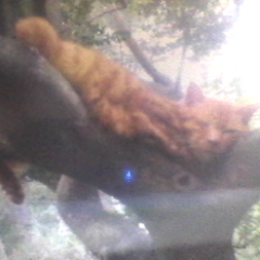 samucatman's profile picture. 漢字で書くと鈍八。口中ではじけるのはドンパッチ。
小惑星イトカワに行ってみたいねぇ・・・
何？今度はリュウグウに行ったって？
ハヤブサのヤロォ