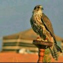 احساس الجهني (@0568859015) Twitter