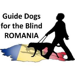 Light into Europe is a #charity committed to helping overcome the many challenges faced by sensory impaired individuals in #Romania today.