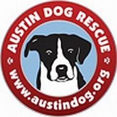 Austin Dog Rescue is a 501-3(c) non-profit organization that is made up of volunteers dedicated to saving the lives of dogs.