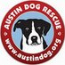 Austin Dog Rescue (@austindogrescue) Twitter profile photo Austin Dog Rescue (@austindogrescue) Twitter profile photo