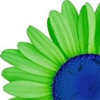 Nancy Weitz (@architela) 's Twitter Profile Photo