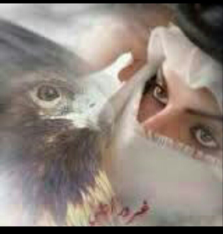 بالإسم بنت وبالمواقف رجال حره وغصب اللي أريده أطوووله أنثى ولكن أقصر العالم لاطال متربيه في ظل ذيك الحمووولة ** كل ما يعجبني في مفضلتي**