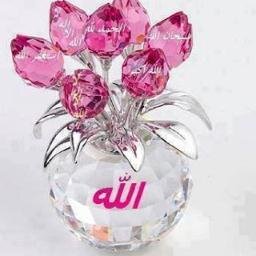 bintbashier's profile picture. ‏‏طالبة
جامعة الأميرة نورة بنت عبد الرحمن