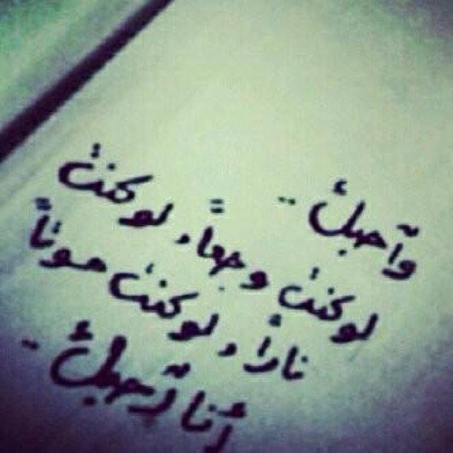 * السعادة ليست الحصول على ما لا نملك بل هي أن نفهم و ندرك قيمة ما نملك . . !