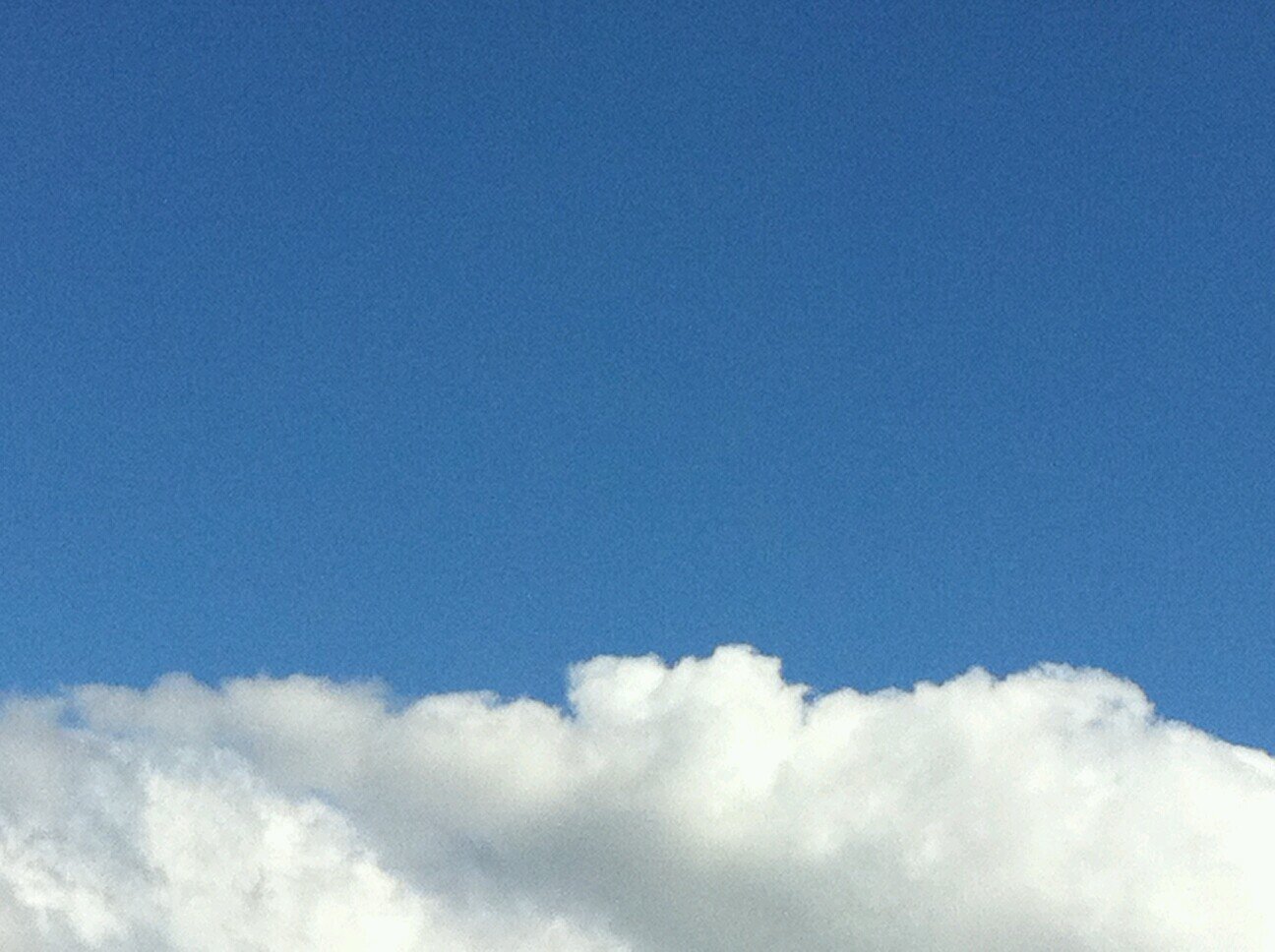 ketchum_2013's profile picture. 【期間限定】和歌山大学広報マネージャー2013-2015.03