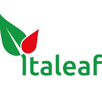 Italeaf-IT (@italeaf) 's Twitter Profile