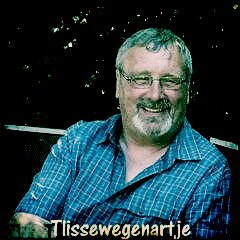 Tlissewegenartje