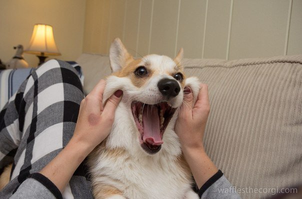 kosheleva_ru's profile picture. 