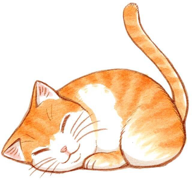 こんにちは☆相互フォローの泉で(^O^)100%フォロー返しします♬Twitterのつながりを増やしましょう^ ^