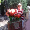 Mary Lou Beard - @BeardLou - Twitter