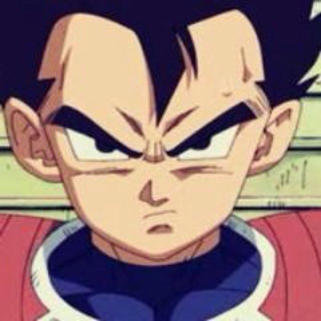 The second Prince of all saiyan son of king vegeta and brother of vegeta [Rp/ parody] #PlantVegetaRp