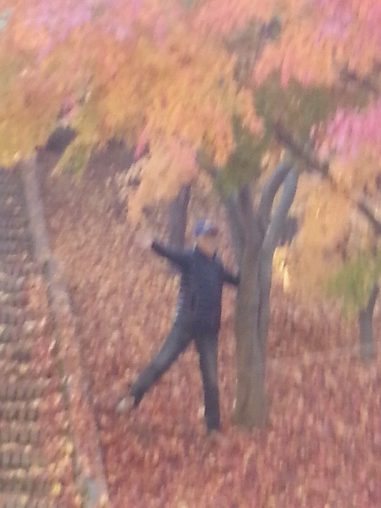 lee509203131's profile picture. 