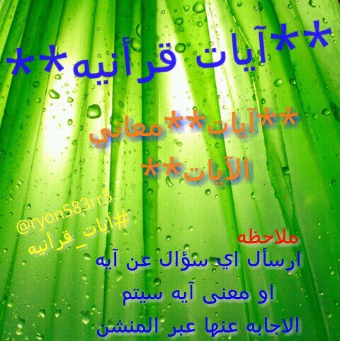 ..... @q8_l0rd_qbحسابي الثاني لزيادة المتابعين