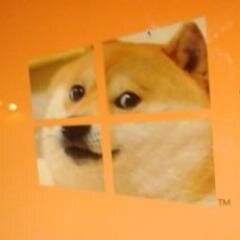 Windoge8's profile picture. 