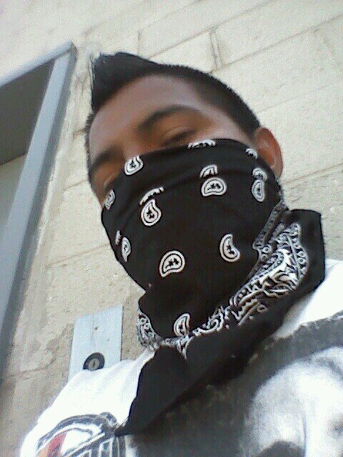 ska   fut bool  .paz y  bailee