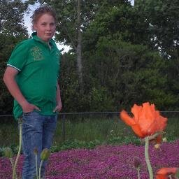 Hovenier