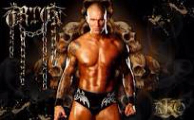 Waz good i love WWE Randy orton big show john cena daniel bryan cm punk tyson kidd greatest  superstars ever best divas Natalya Aj Lee The Bella Twins the best