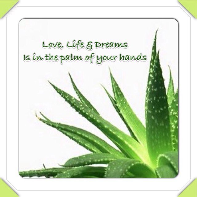 Email Address: Love_Life_Dreams@mail.com
