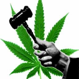 Follow me if you support the legalization of weed  #legalizeweed