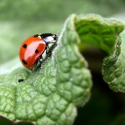Emotive_Quotes Profile Picture