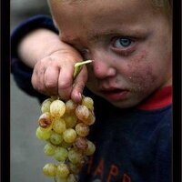 mehmet polat (@evetc) 's Twitter Profile