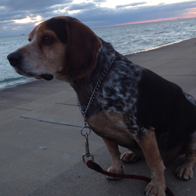 jrr2411's profile picture. 