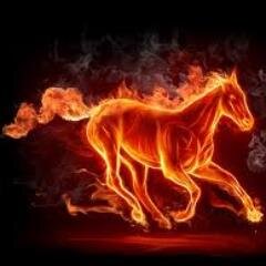 zoe1998liveca's profile picture. i love all food , cat's and dog's , I love all my beast Friend's , I love one Direction,and I love boy's  and I have hotmall ok