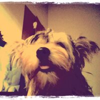 soychloe | Reddio (@soychloe3) 's Twitter Profile