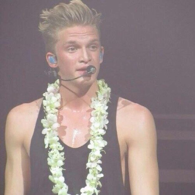 codyshailee's profile picture. tweet limit account