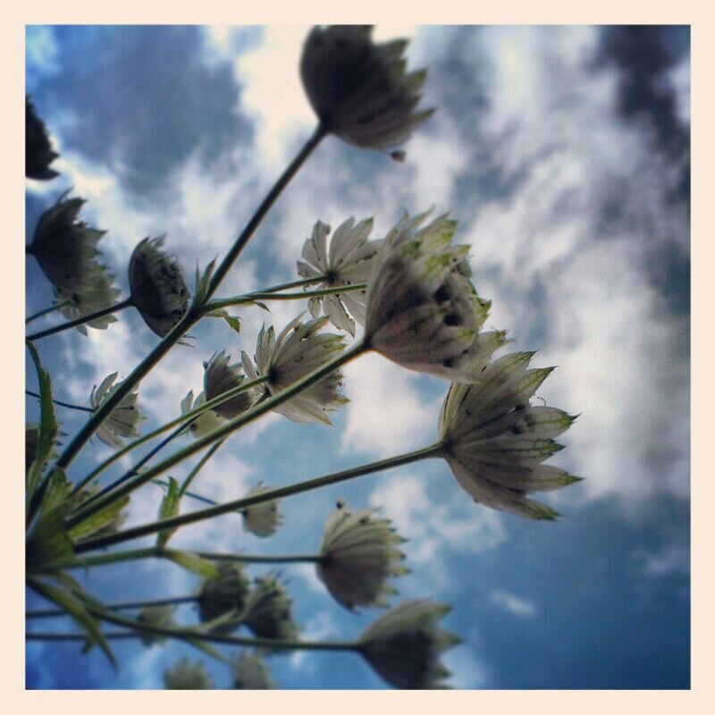 Blogger, moeder van 2 jongens, creatief, schrijven over voedselallergie. All about food allergy.https://t.co/MSUkSNCsmh
