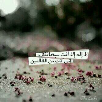 ‏‏صدقة عن آبي رحمه آلله وغفر له وعفآ عنه .. آدعم بآلرتويت وآلفولو جزآك آلله خير وآدع له بآلرحمه وآلمغفره وآلعفو آلله يجمعنآ في آلفردوس آلآعلى آن شآء آلله ♥