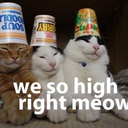 NegroKrapaalis's profile picture. Im feeling with u!
3 
A lalala
A lalala
A lalala