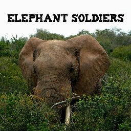 Elephant Warriors, is a documentary following international detectives using GPS technology to stop elephant poachers at the root of the black markets.