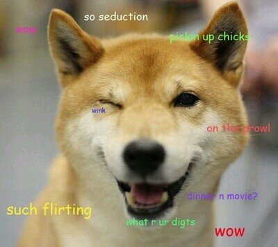 such wow. Wow.