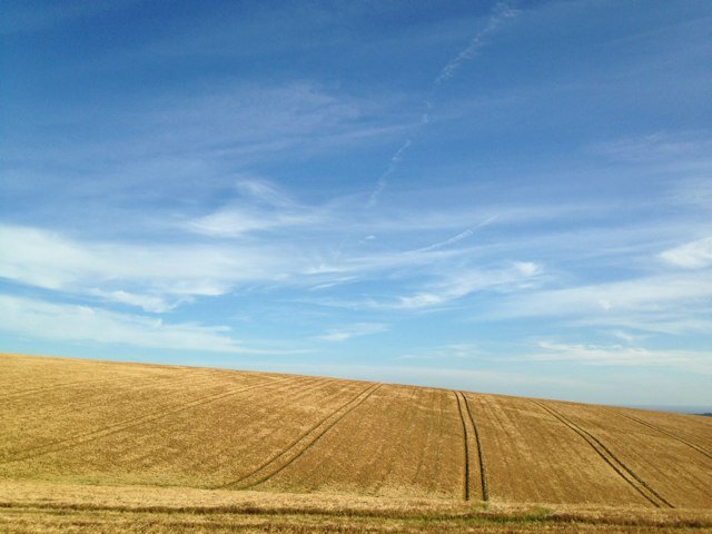 MartinOrmond's profile picture. Martin Ormond.