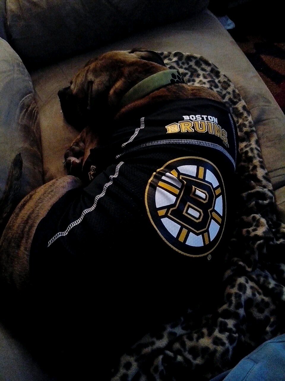 benjamindapont1's profile picture. 