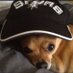 Drew (@preecelaw) Twitter profile photo Drew (@preecelaw) Twitter profile photo