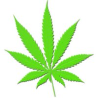 Weed Tweets ™ (@stillblazingtho) 's Twitter Profile Photo