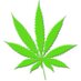 Weed Tweets ™ (@stillblazingtho) Twitter profile photo