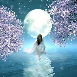 PureFlower1116's profile picture. Irish Girl. My heart is stolen by nature & the written word. I'm enchanted by art, music & have lived thousands of lives through books, stories & myth.