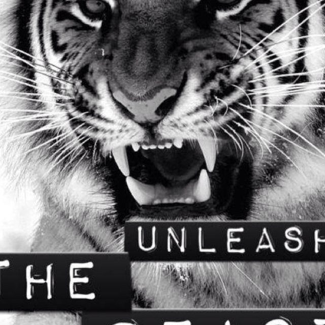 ff_york's profile picture. Located in the Clifton Moor area of York. Prices start at only £15 per month!