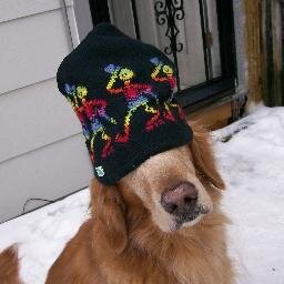 FizizFuzzies's profile picture. FIZ'S FUZZIES PET SITTING SINCE '94. REVIEWS ON FACEBOOK!