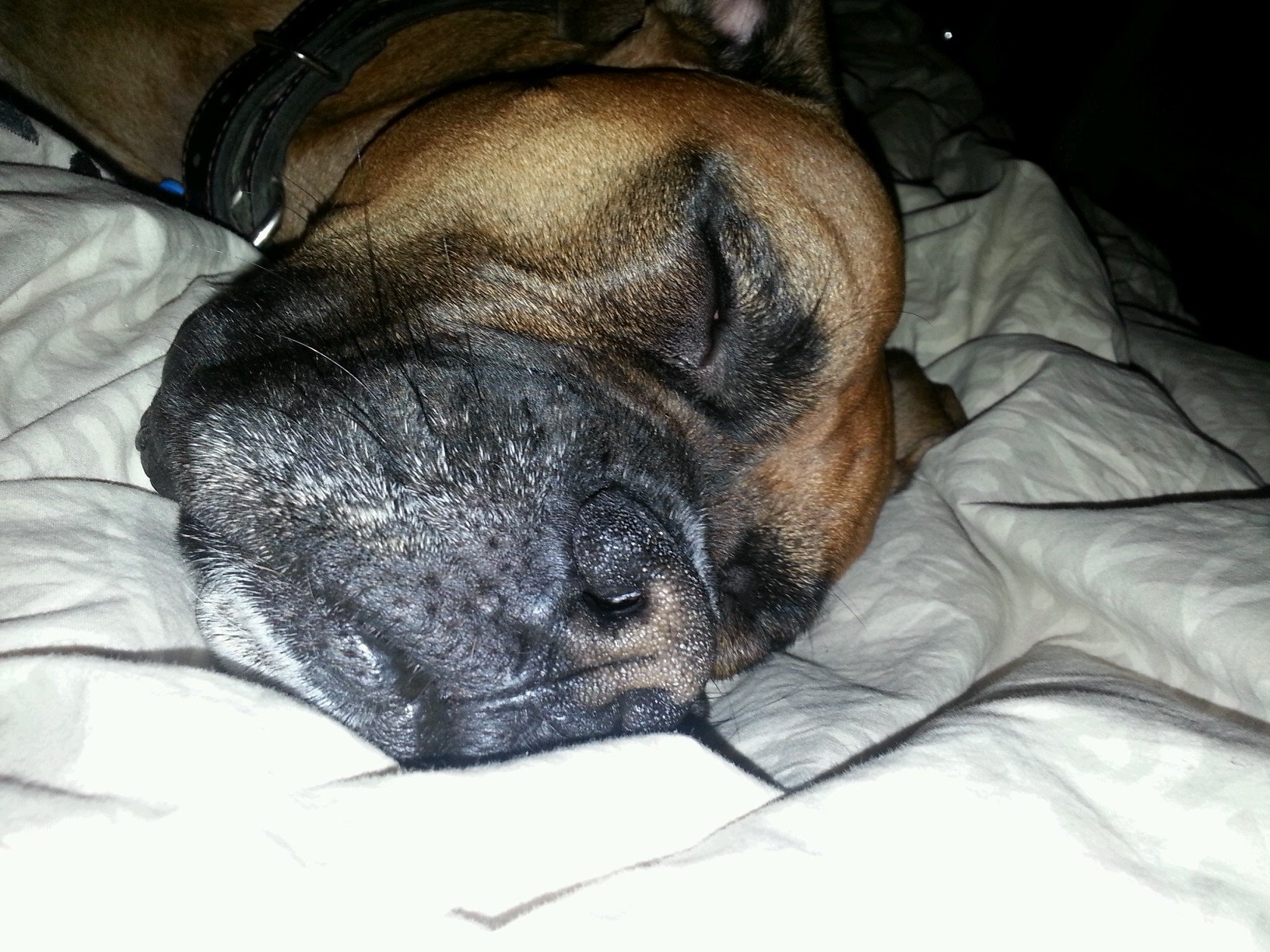 jvkouri's profile picture. 