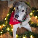 Trisha Myers - @Tershee - Twitter