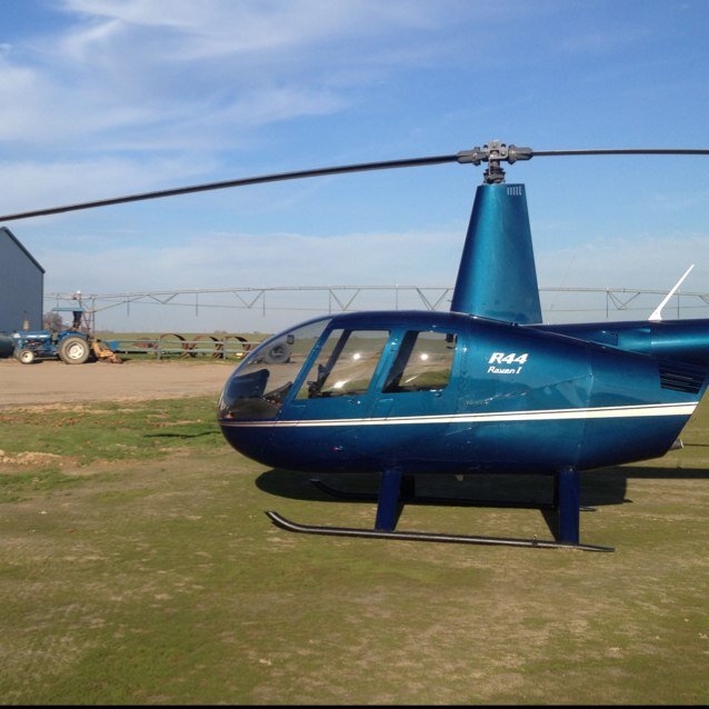 deckheli's profile picture. 